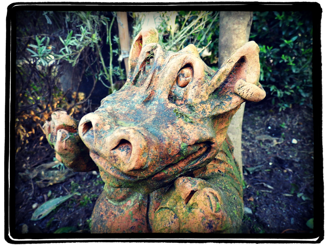 Habitantes del jardín