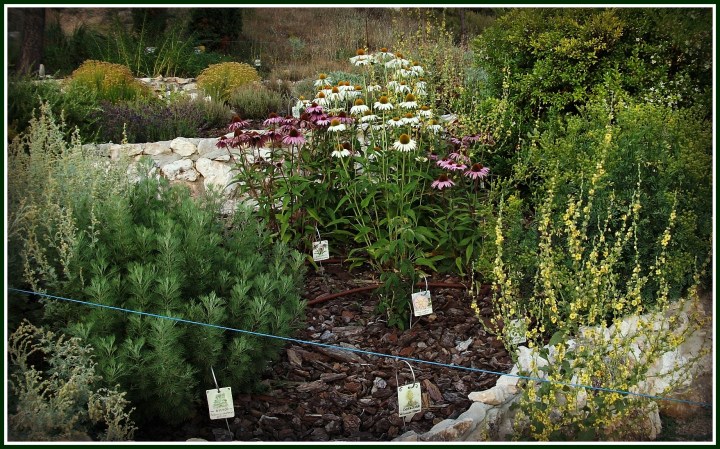 Señales en el jardín