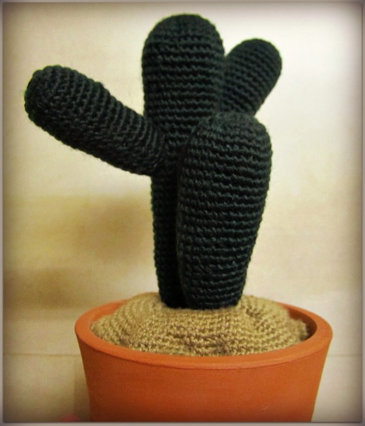 Cactus, ganchillo y cerámica