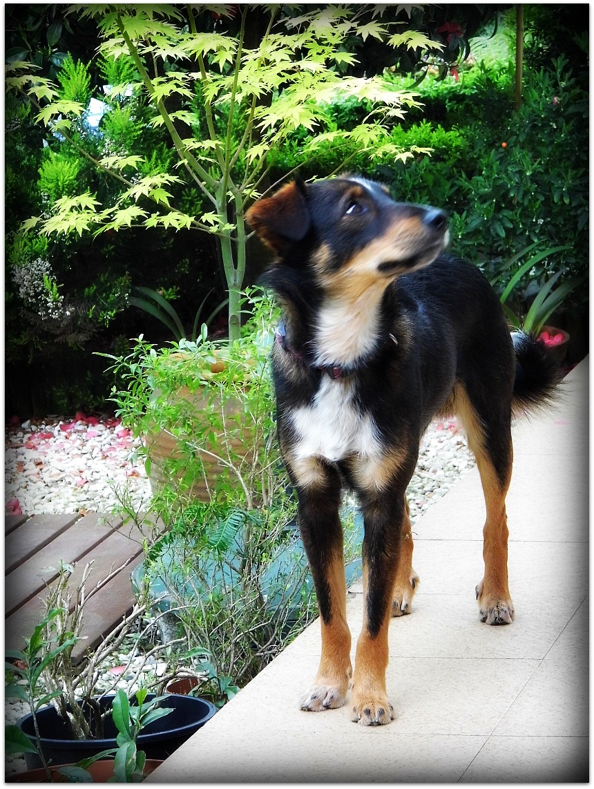 Explorando el entorno