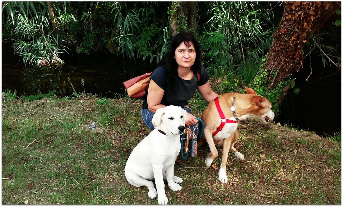 Mis perros Ruty y Clay