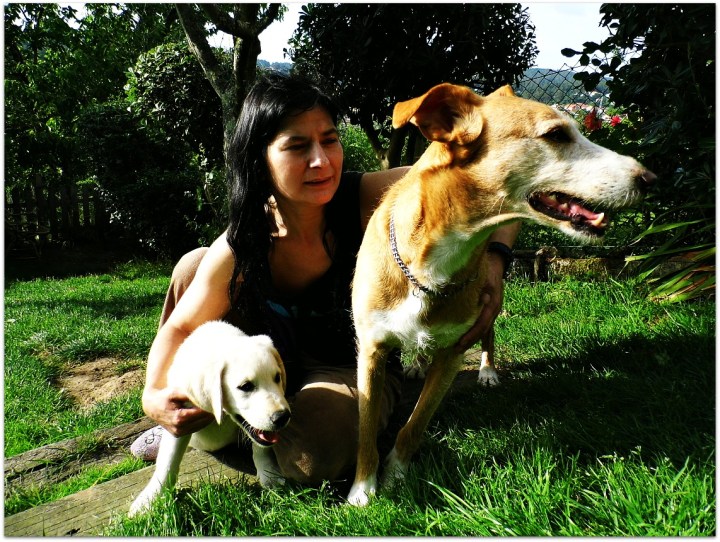 Mis perros Ruty y Clay